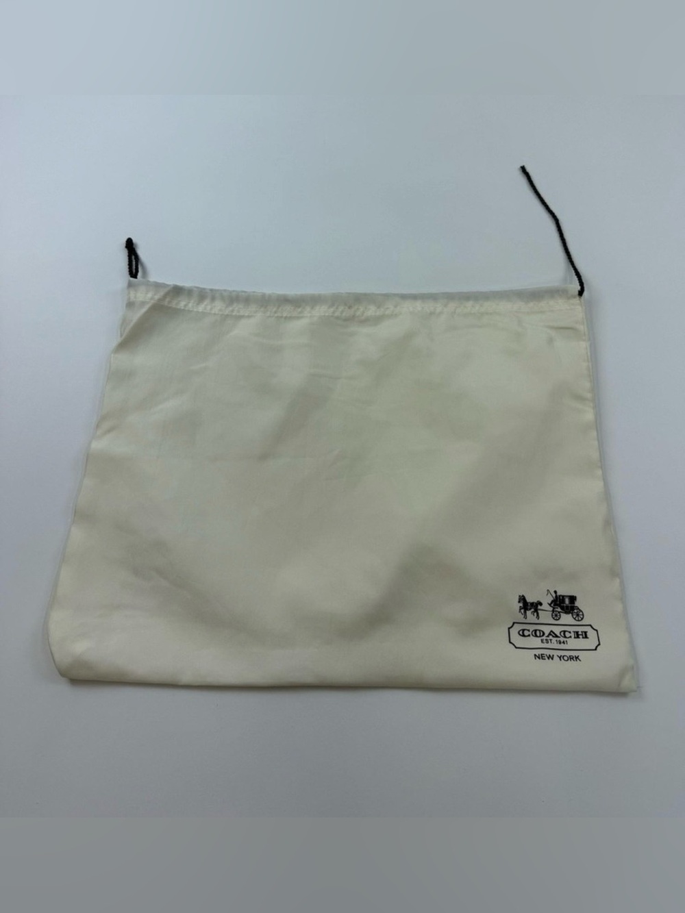 COACH Satin Dust Bag